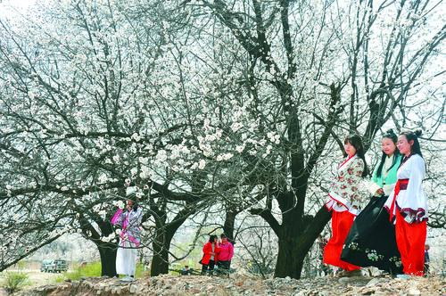 2025 澳大利亚网球公开赛 男单决赛